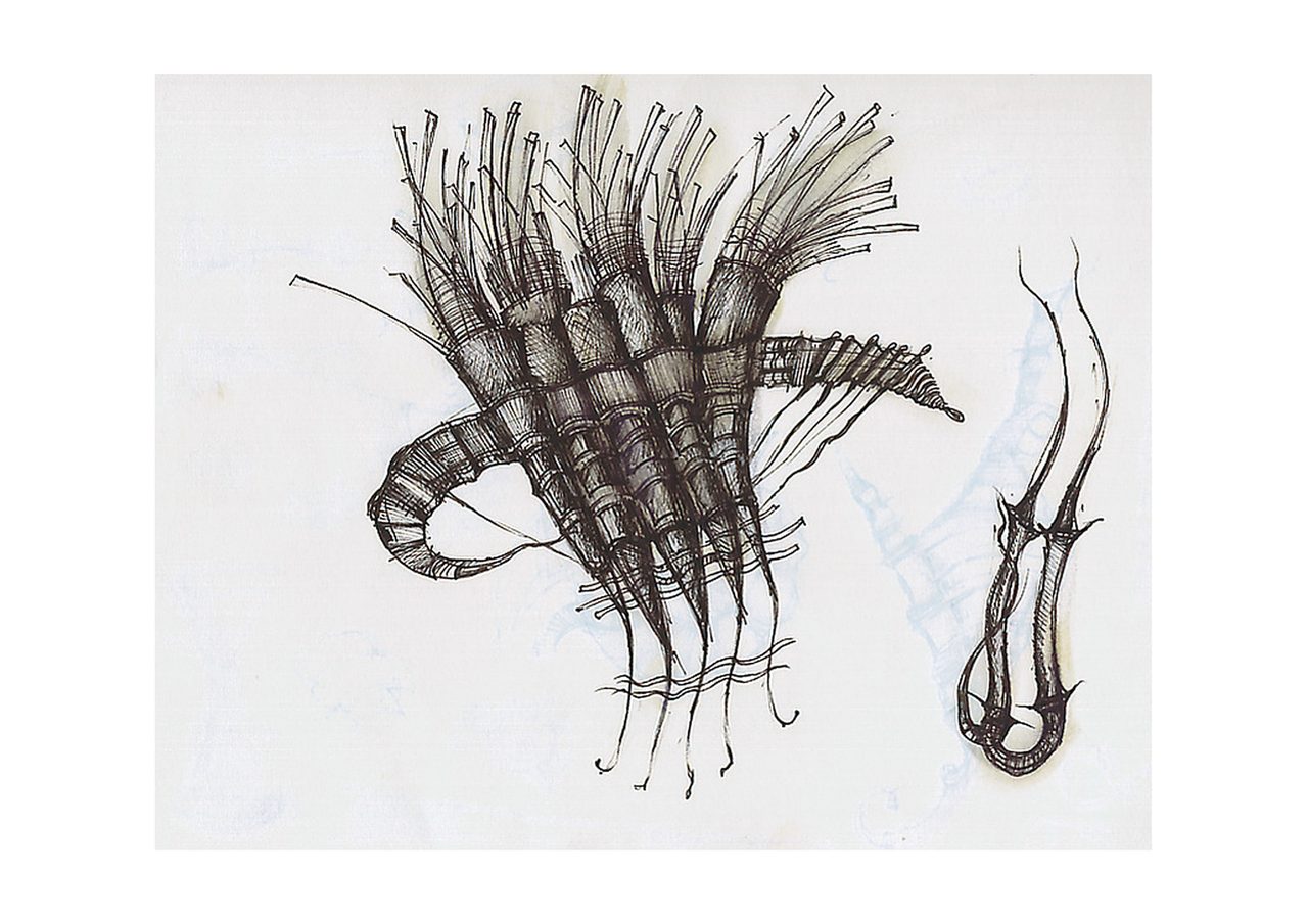An untitled pen and ink sculpture study drawing showing a fringed, woven basket-like form with trailing tendrils, beside a smaller hooked loop with spikes, by David Hamilton