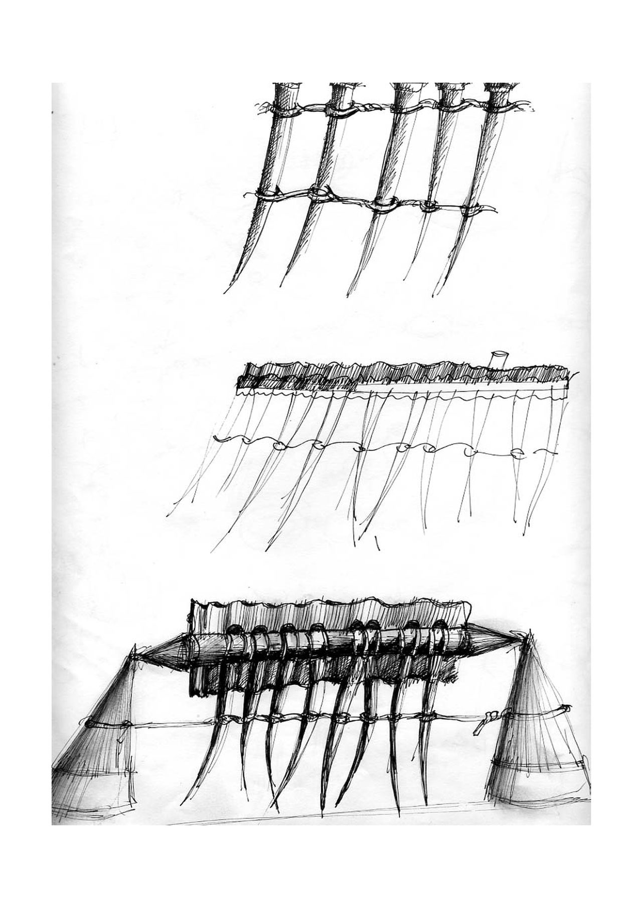 An untitled pen and ink sculpture study drawing showing clusters of curved tapered blades bundled and fanned out across the page, by David Hamilton