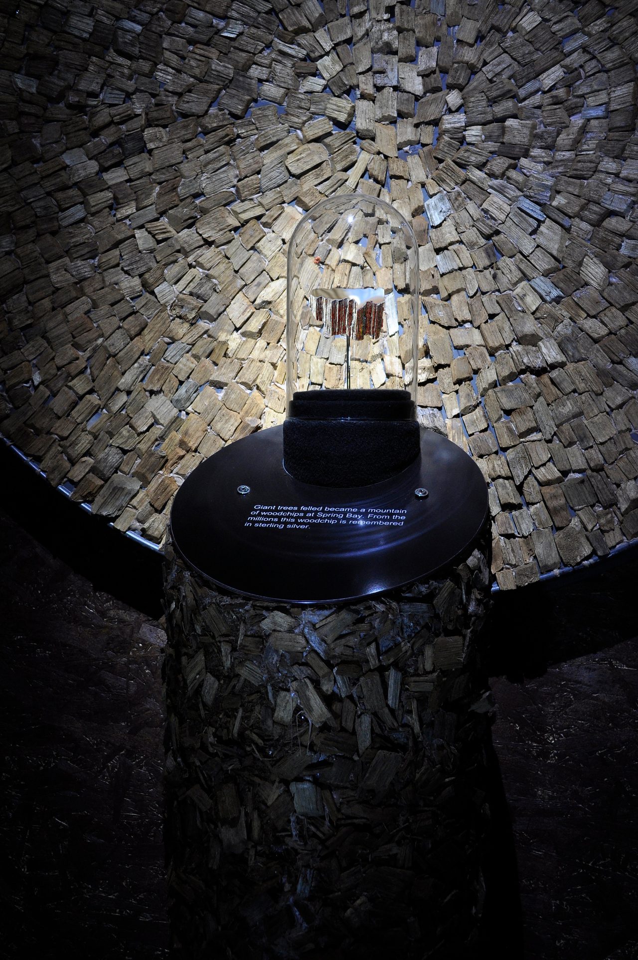 Memorychip, a close view of a single sterling silver woodchip displayed under a glass dome at the centre of the woodchip-covered niche, by David Hamilton