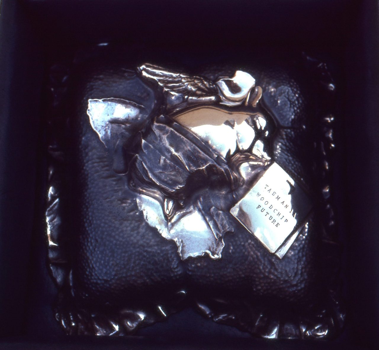Tasmanian Woodchip Future, a small crumpled bronze form with a tag reading TASMANIAN WOODCHIP FUTURE, resting on black leather, by David Hamilton