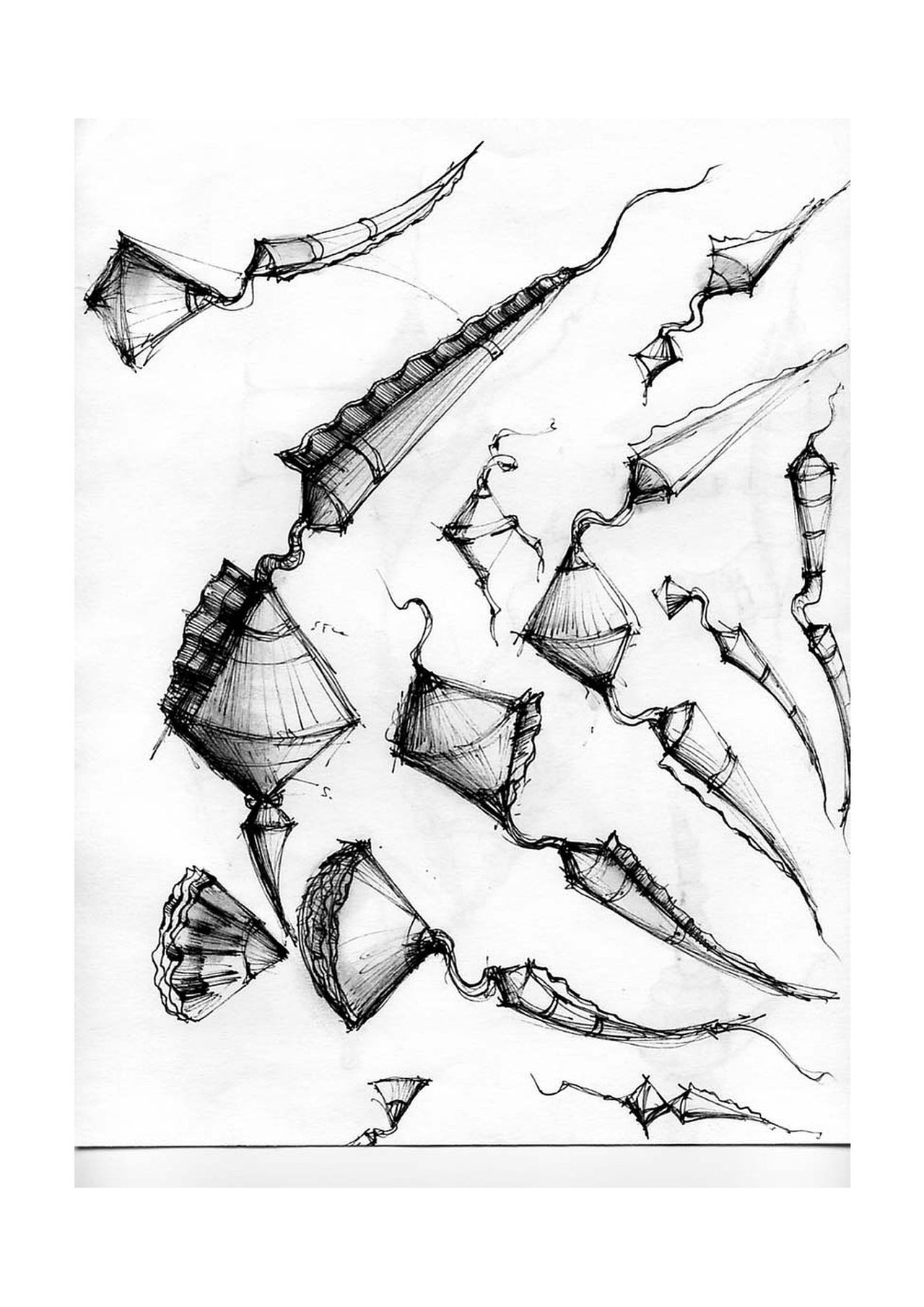 An untitled pen and ink sculpture study drawing showing clusters of ribbed cone shapes trailing long curved spiked tails across the page, by David Hamilton